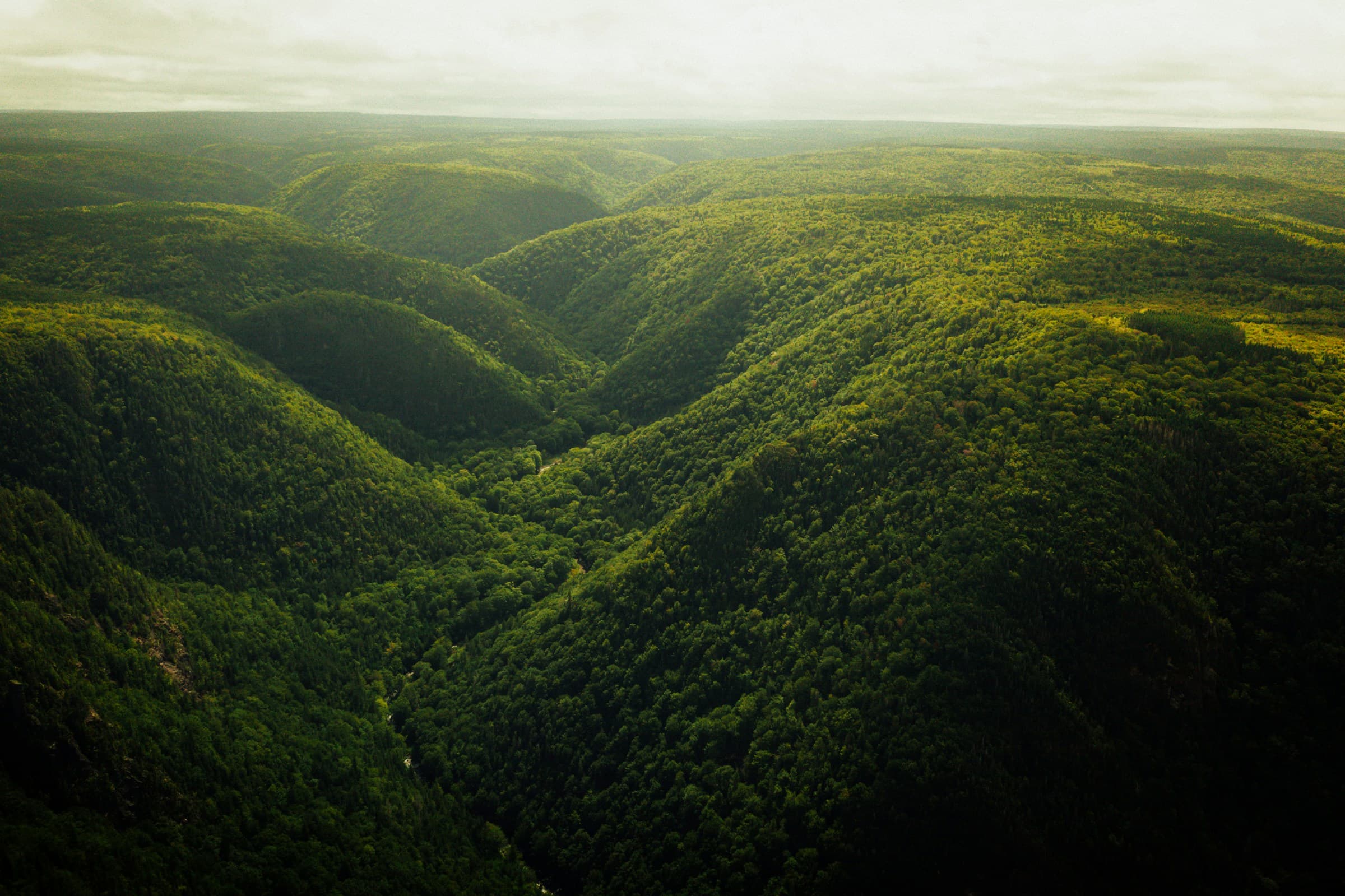 Green mountain valley at sunrise